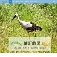东莞/清溪/樟木头做网站网络公司，网络营销专家【云讯网络】