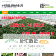 红薯苗_红薯苗基地_地瓜苗_红薯苗价格_济宁泽润农业科技有限公司
