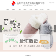 扬州市邗江成功鞋业有限公司-官网