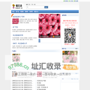 云南鲜花速递网-懂花弟专注鲜花批发,鲜花价格,鲜花批发怎么找货源,婚庆公司用花/花店/订购/电话