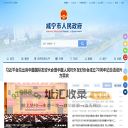 咸宁政府网-微政务