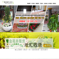 深圳市恩慈园艺花卉有限公司