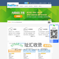 专业的云计算、动态域名服务提供商 - 公云PubYun