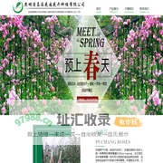 昆明玫瑰花苗_昆明鲜花_昆明花苗批发-昆明浦昌后花园花卉种植有限公司