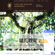 云南古树普洱茶-普洱茶十大品牌-中吉号茶业官网