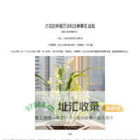 老玩家应用商店_提供精品游戏软件app下载资源_最新最全的绿色资源下载基地
