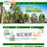 凤凰木价格_供应_福建凤凰木树苗基地