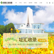巴中市恩阳区产业发展投资运营集团有限公司
