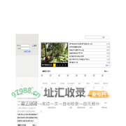 西双版纳橡胶