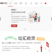 SSW智鹏瑞尔软件
