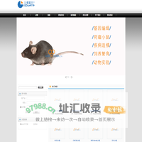 LABGENE兰博基因