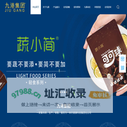 九港集团