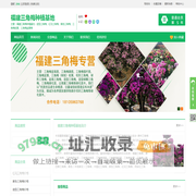 红花三角梅价格_紫色三角梅价格_造型三角梅 - 福建三角梅种植基地花木网