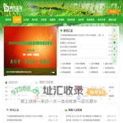 博朗咨询