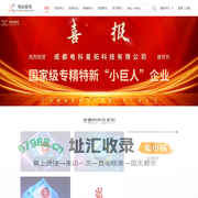 成都电科星拓科技有限公司