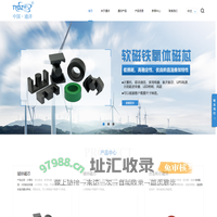 广州市通洋电子有限公司