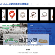 迈视伟声