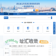 湖北省公共资源交易和政府采购一体化服务平台中控管理平台