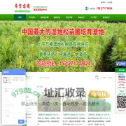 湿地松|火炬松|湿地松苗价格|湿地松批发|湿地松供应【成活率高达100%】-随州希望苗圃