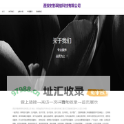 西安时影网络科技有限公司