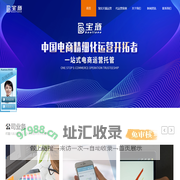 天猫代运营-淘宝运营服务商-网店代运营公司排名-宝琏电商