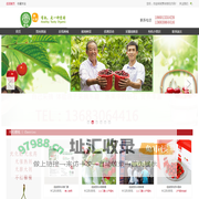 贾尚有机种植园，大樱桃、梨、葡萄、桑葚水果采摘!