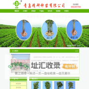 青岛精研种苗有限公司|花生种子|紫色小麦种子