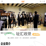 天津奥维斯乐器有限公司