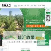 内蒙古苗木销售,内蒙古油松,内蒙古樟子松,呼市新疆杨|呼和浩特市景园苗木繁育有限责任公司