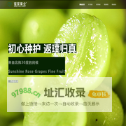 灵璧县民心种植专业合作社坐落于安徽省灵璧县下楼镇付寨村，果园占地达 5000 余亩，主要采用大棚有机种植。近十年通过先进农业技术的应用与精心的种植培育，这里已成为有机果园产业集群
合作社主要种植高品质阳光玫瑰葡萄，凭借先进的大棚种植技术，我们引进了山东农科院的高级工程团队，实施科学化管理，确保每一颗果实都能在优良的环境中生长。通过智能有机水肥灌溉系统，提高水果的品质，还显著提升了产量。
