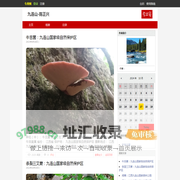 九连山-陈正兴