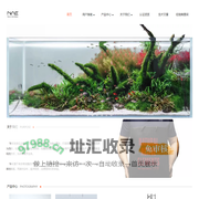 NAE官网 人与自然和谐共生 专注水族研发