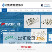 非标精密螺丝,定做异型螺丝-深圳技拓精密五金有限公司