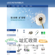 山东乐力电子技术有限公司