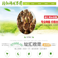 刺嫩芽苗_刺龙芽树苗_刺老芽小苗-辽宁刺嫩芽苗木基地