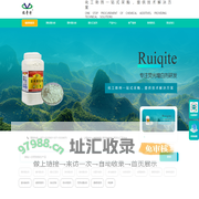 瑞奇特
