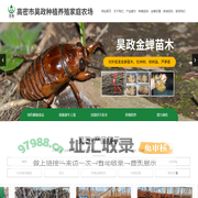 金蝉|苗|卵枝|养殖,知了养殖-高密市昊政种植养殖家庭农场