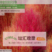 零散坑知识分享