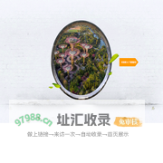 广景银建设集团 建筑设计 市政公用工程总承包二级资质 园林景观设计 市政园林景观工程施工