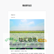 秦的夏天生活