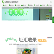 办公绿化找绿植  健康省心最超值