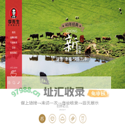 北京李先生加州牛肉面大王有限公司