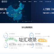 首页-配友软件