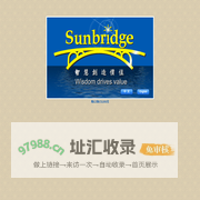 盛桥投资管理有限公司|盛桥投资|投资管理|投资