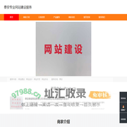 泰安专业网站建设服务
