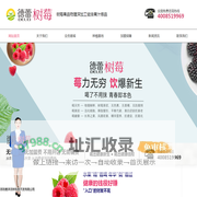 有机鲜果品牌-德蕾树莓