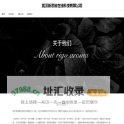 武汉新思维在线科技有限公司