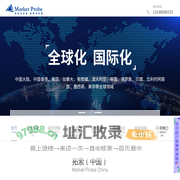 拓索市场咨询（北京）有限公司