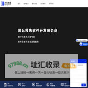 大光网络-专业软件定制开发服务商
