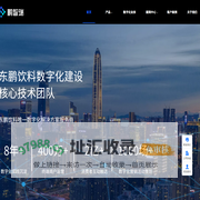 鹏智瑞-快消企业数字化解决方案服务商